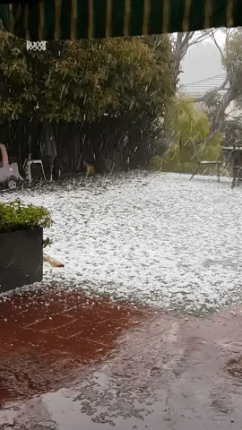 Hail Covers Melbourne Suburb Garden as Thunderstorms Hit Victoria