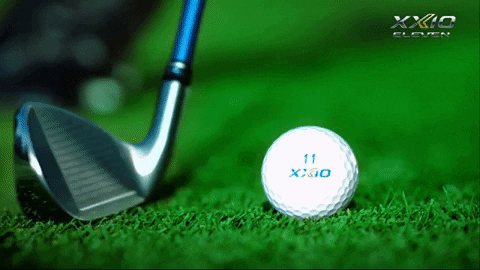 majorworld giphygifmaker GIF