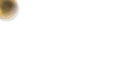 VirtusBet virtusbet betvirtus GIF