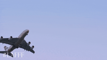 lafashionfestival fashion travel bye la GIF