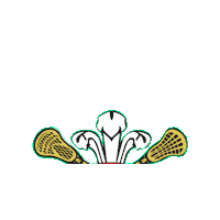 Wales Welsh Sticker by WalesLacrosse