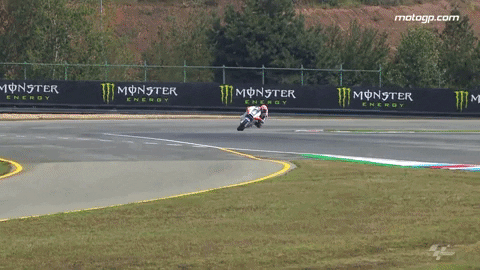 Dr_P giphygifmaker GIF