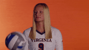 VirginiaAthletics uva virginiasports uvavolleyball virginia volleyball GIF