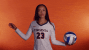 VirginiaAthletics uva virginiasports uvavolleyball virginia volleyball GIF