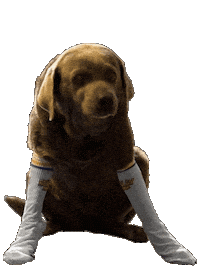 Socks Crying Sticker by Replayboys