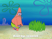 season 4 GIF by SpongeBob SquarePants