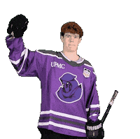 Sport Goal Sticker by Youngstown Phantoms