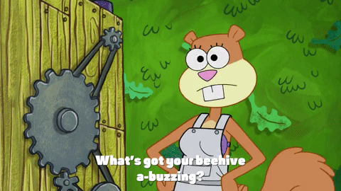 season 9 episode 24 GIF by SpongeBob SquarePants