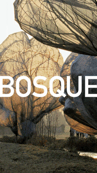 GIF by nuestro bambu