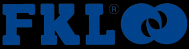 fklofficial bearings fkl запчасти fkl russia GIF