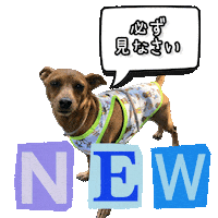 Miniature Pinscher Dog Sticker