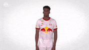 No Way Whatever GIF by FC Red Bull Salzburg