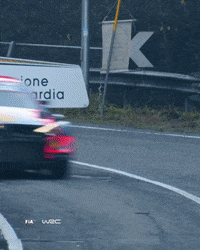 On The Way Racing GIF by FIA World Rally Championship