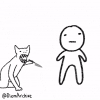Dog Pain GIF