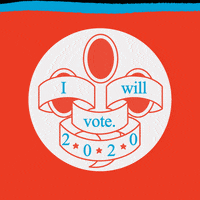 Register To Vote 2020 Election GIF by Apply