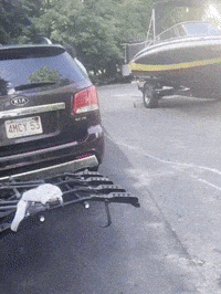 Mtb GIF