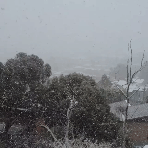 Snow Falls in Jindabyne as Cold Front Passes Over New South Wales