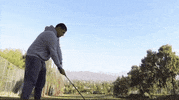 Golf Golfswing GIF by Norwalk Brew House