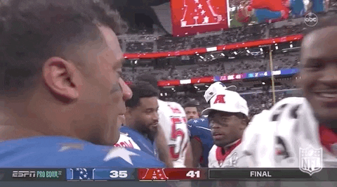 National Football League GIF by NFL