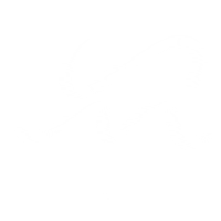 Lettering Line Sticker