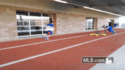 GIF by MLB