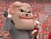 Espn Georgia GIF by College GameDay