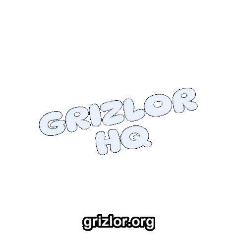 Fun Bear Sticker by grizlor