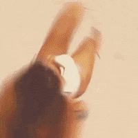 Riviera Maya Viaje GIF by Xcape