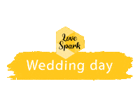 Boda Wedding Day Sticker by SparkVisuals