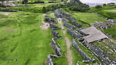 gisasantanna giphyupload GIF