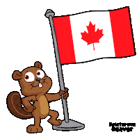 Canadian World Sticker by VeeFriends
