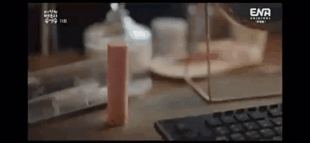 yj_jane giphygifmaker GIF
