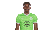Football Sport Sticker by VfL Wolfsburg