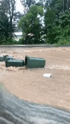 Garbage Bins Float Down Street During Flash Flooding in Wollongong