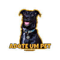 Dog Love Sticker