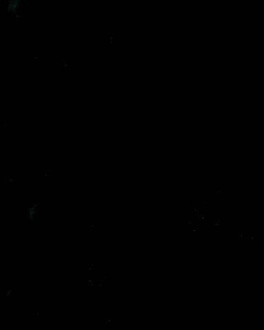 Beach Whatever GIF by Atlas Acopian