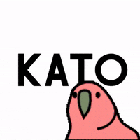 katomariacka beer kato katowice piwo GIF