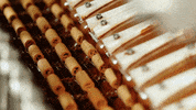 Chocolate Cookies GIF by bahlsencookies