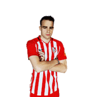 futbalovaliga futbal fortuna liga fortunaliga nasaliga Sticker