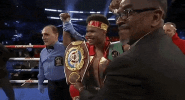 toprank fight boxing fighting espn GIF