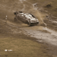 Sliding Oh No GIF by FIA World Rally Championship