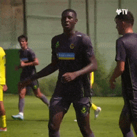 Premier League Dance GIF by Wolves