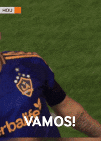 Vamos Lets Go GIF by Major League Soccer