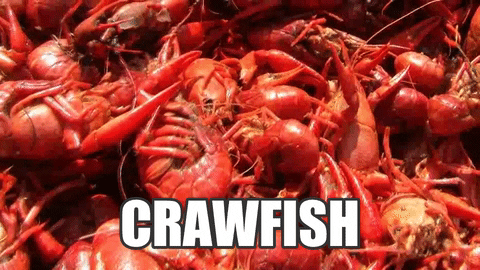 killing fields crawfish GIF by Grillax®