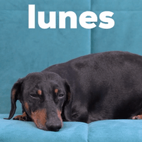 Lunes