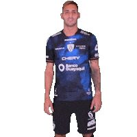 Del Valle Love Sticker by INDEPENDIENTE DEL VALLE