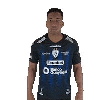 Del Valle Soccer Sticker by INDEPENDIENTE DEL VALLE