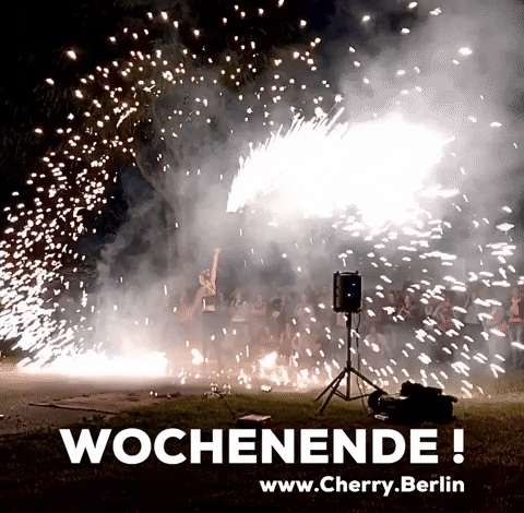 Party Berlin GIF by Cherry Johnson