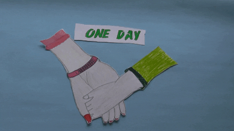 nevernevergyphy giphygifmaker GIF