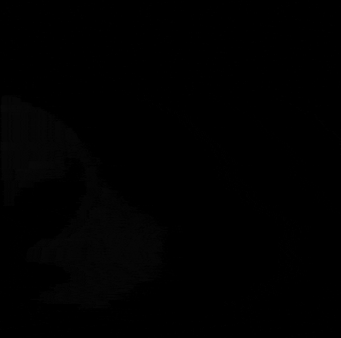 Gang Tuff GIF